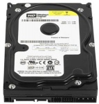 Dysk twardy  WD 200 GB, 8MB, SATA II - WD2000JS